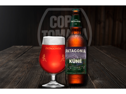 PATAGONIA LAGER DEL SUR 730ml