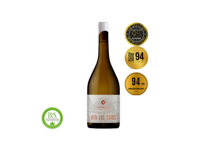 ALTO LOS CUISES CHARDONNAY