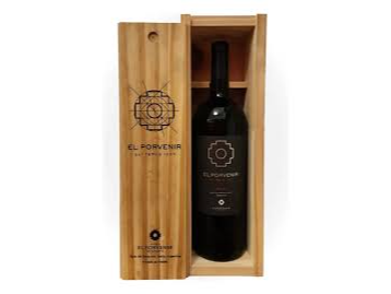 EL PORVENIR ICONO MAGNUM