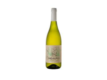 INDAMA CHARDONAY - VIOGNER