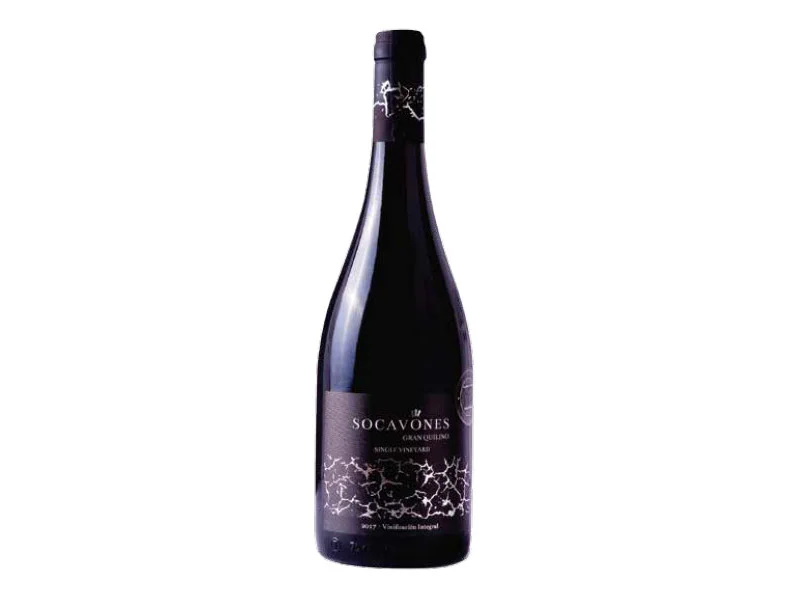 GRAN QUILINO PINOT - ANCELLOTTA