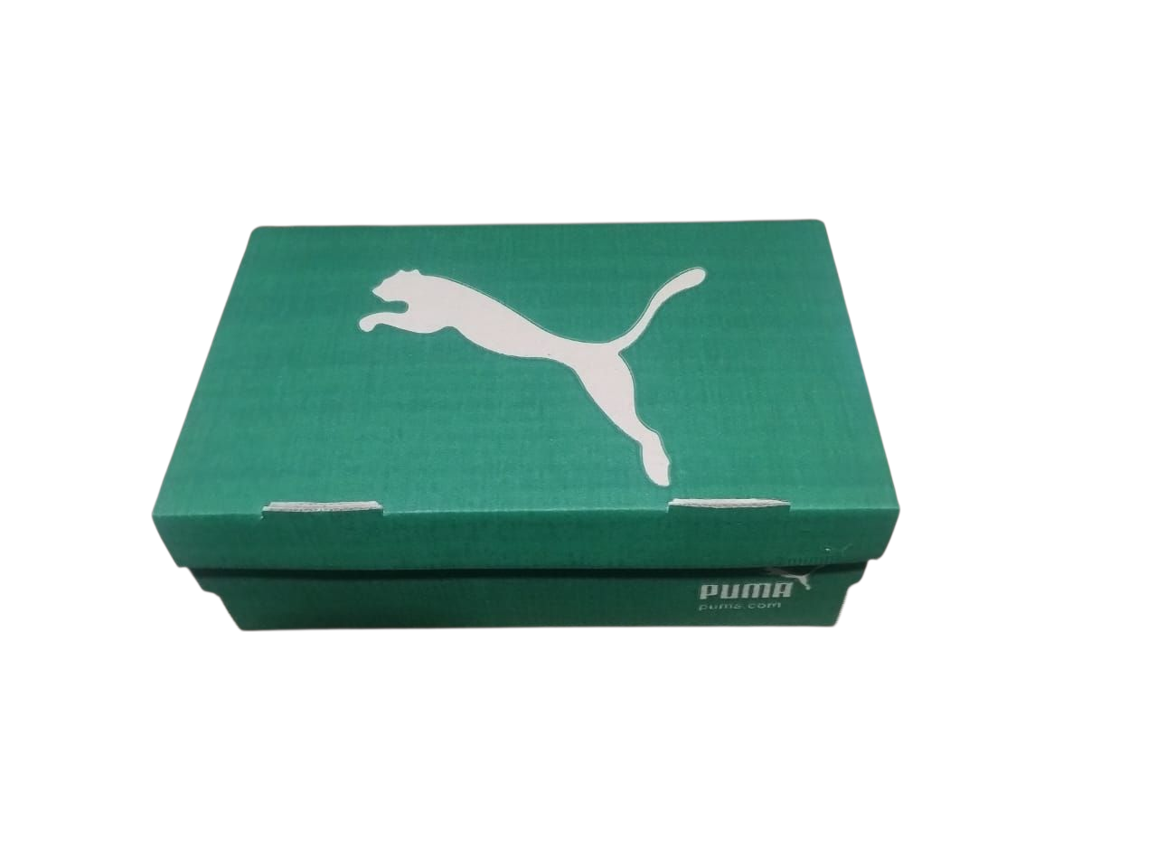 Cajas Puma Verdes x 50 unidades