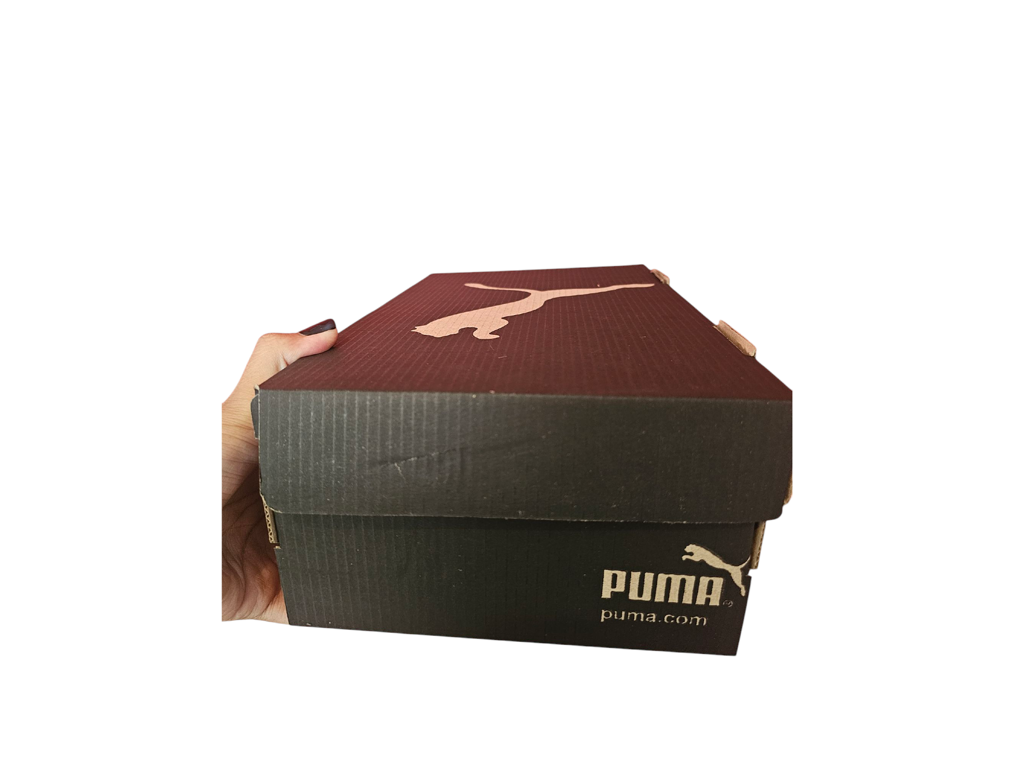 Cajas Puma negro x 50 unidades