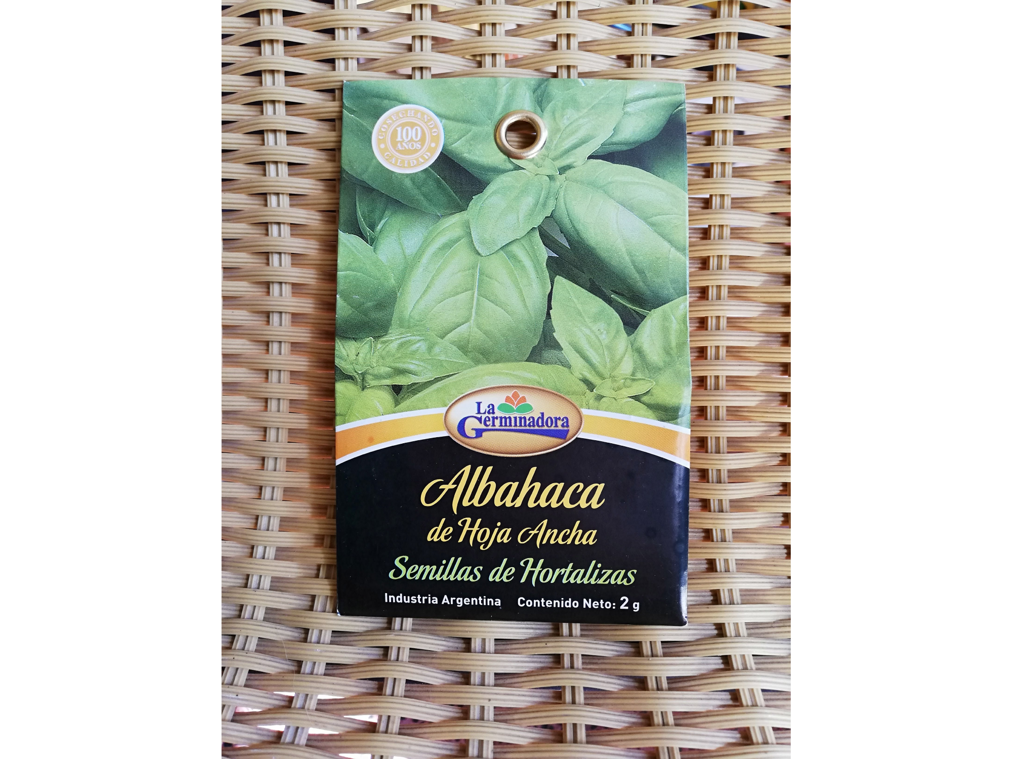 Albahaca de hoja ancha