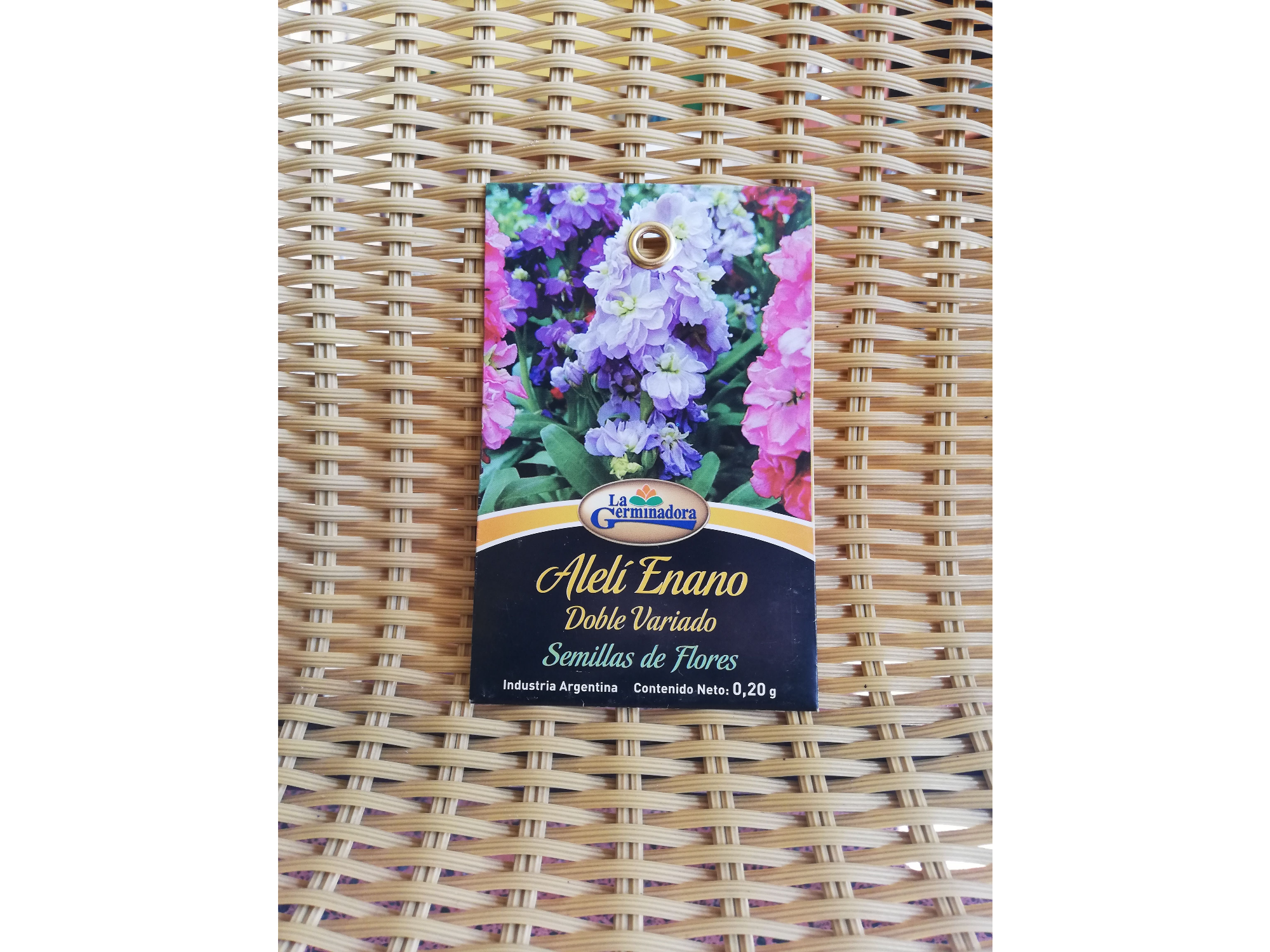 Aleli enano - doble variado V - O - P