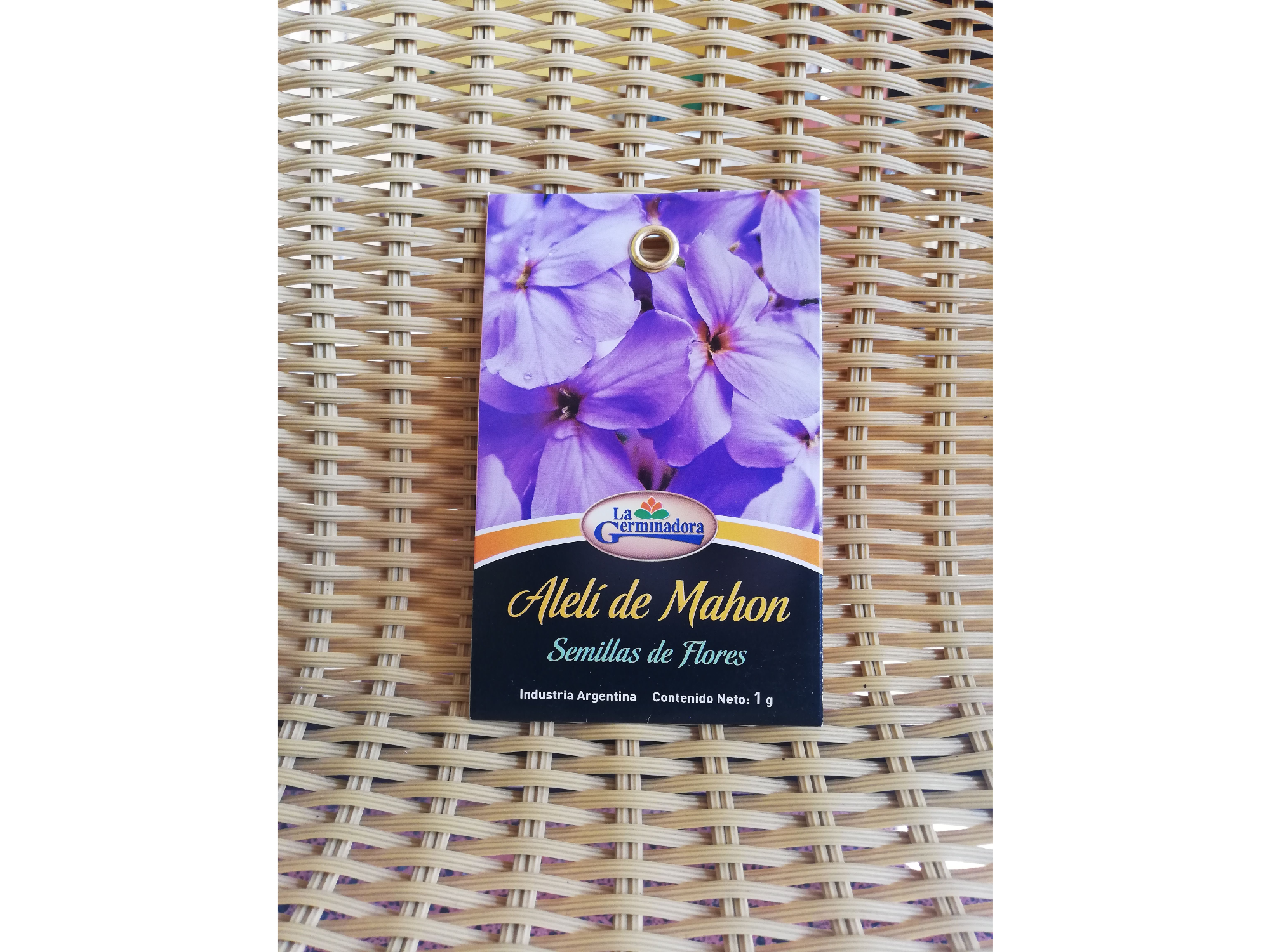 Aleli de Mahon variado V - O - P