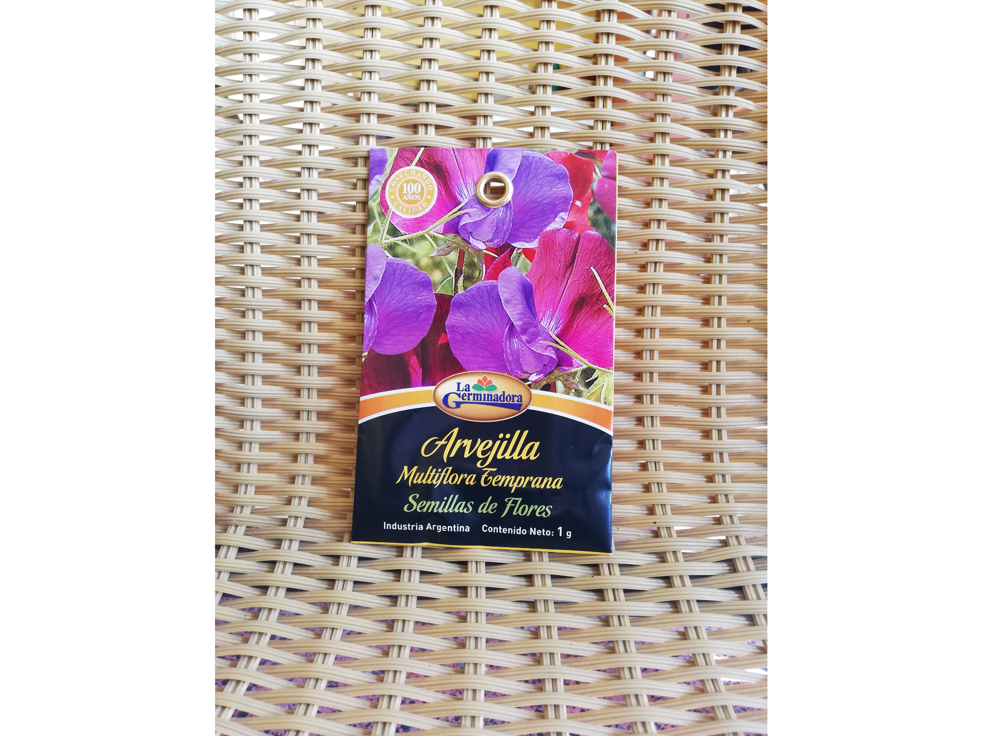 Arvejilla Multiflora Temprana T