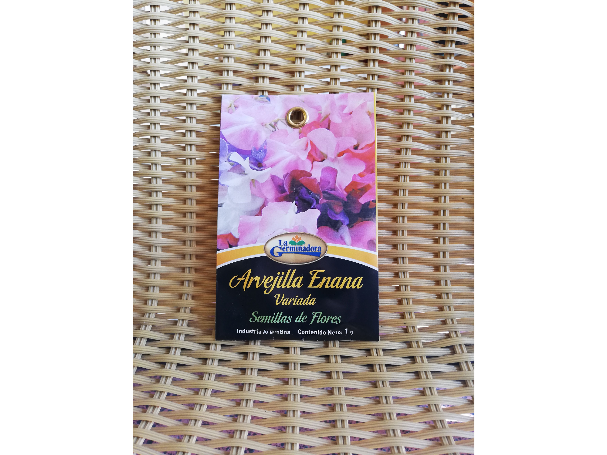 Arvejilla enana variada T