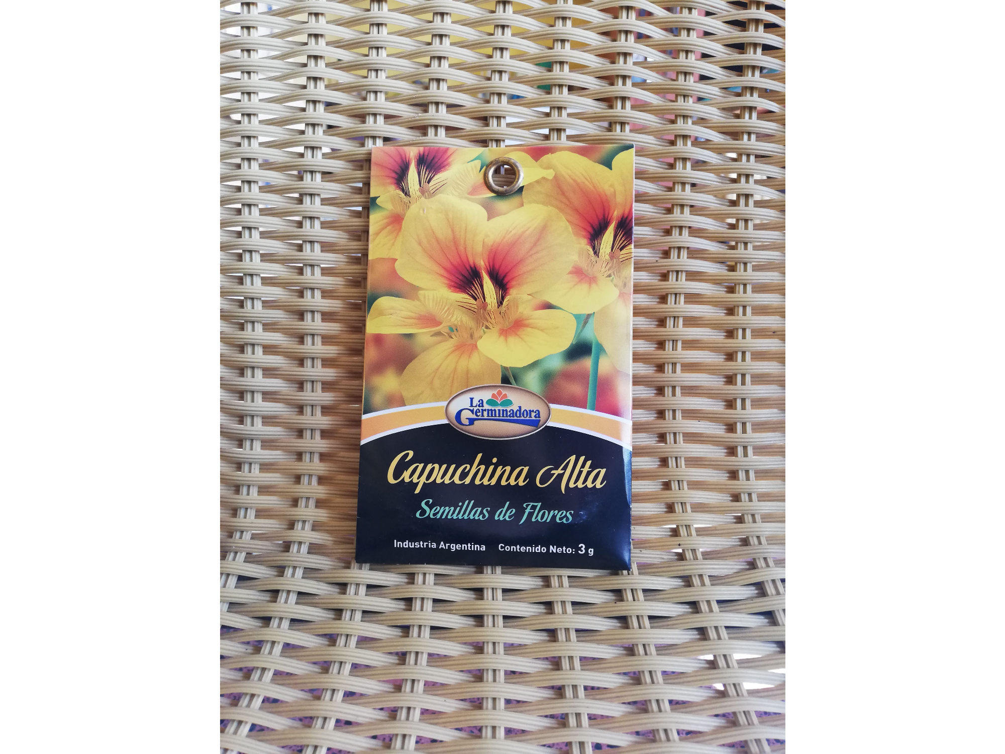 Capuchina alta variada P - V