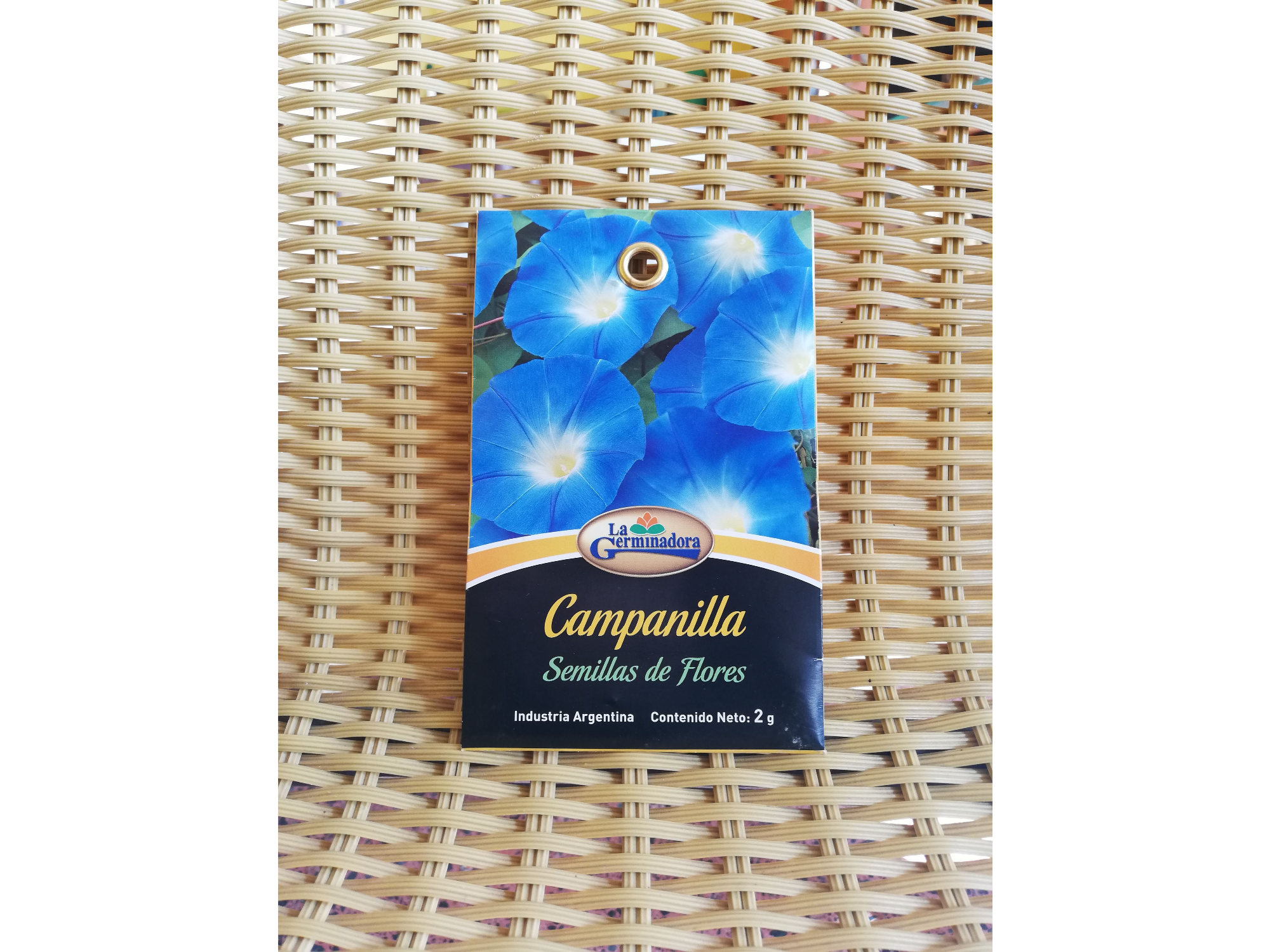 Campanilla variada P - V