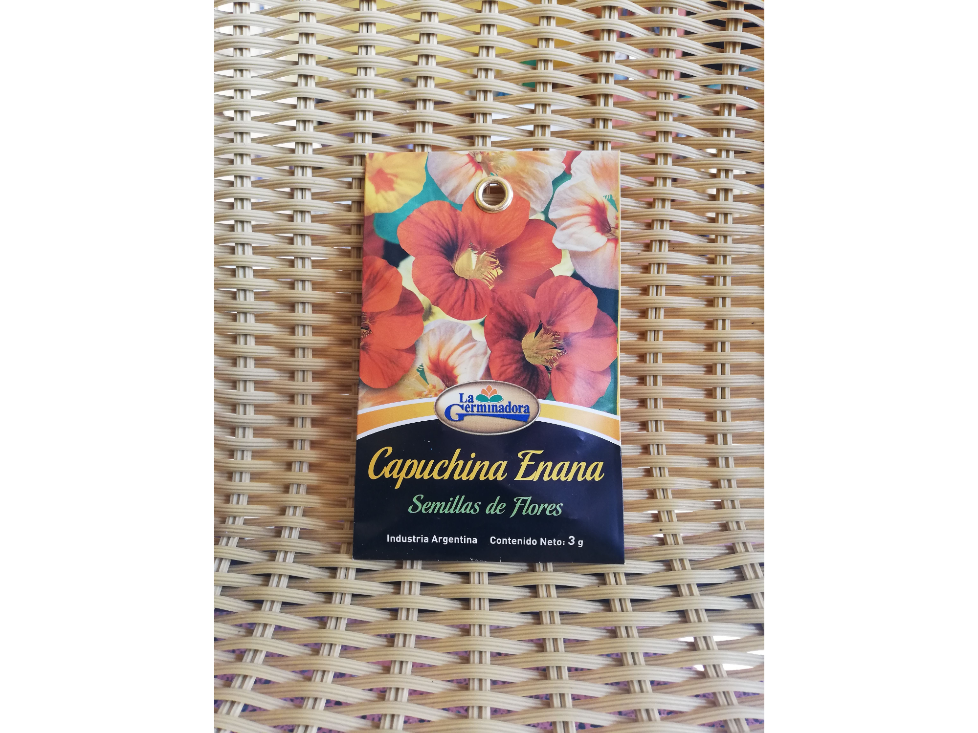 Capuchina enana variada P - V