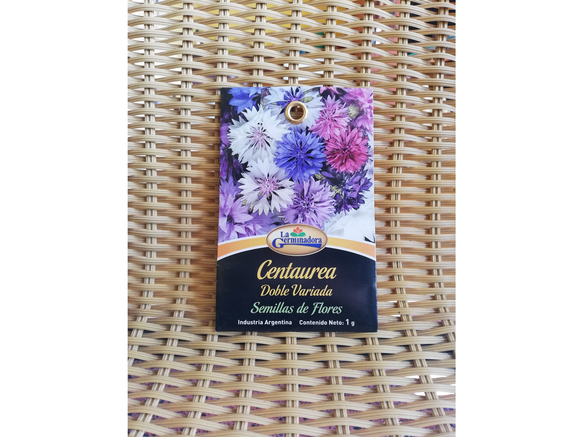 Centaurea doble variada T