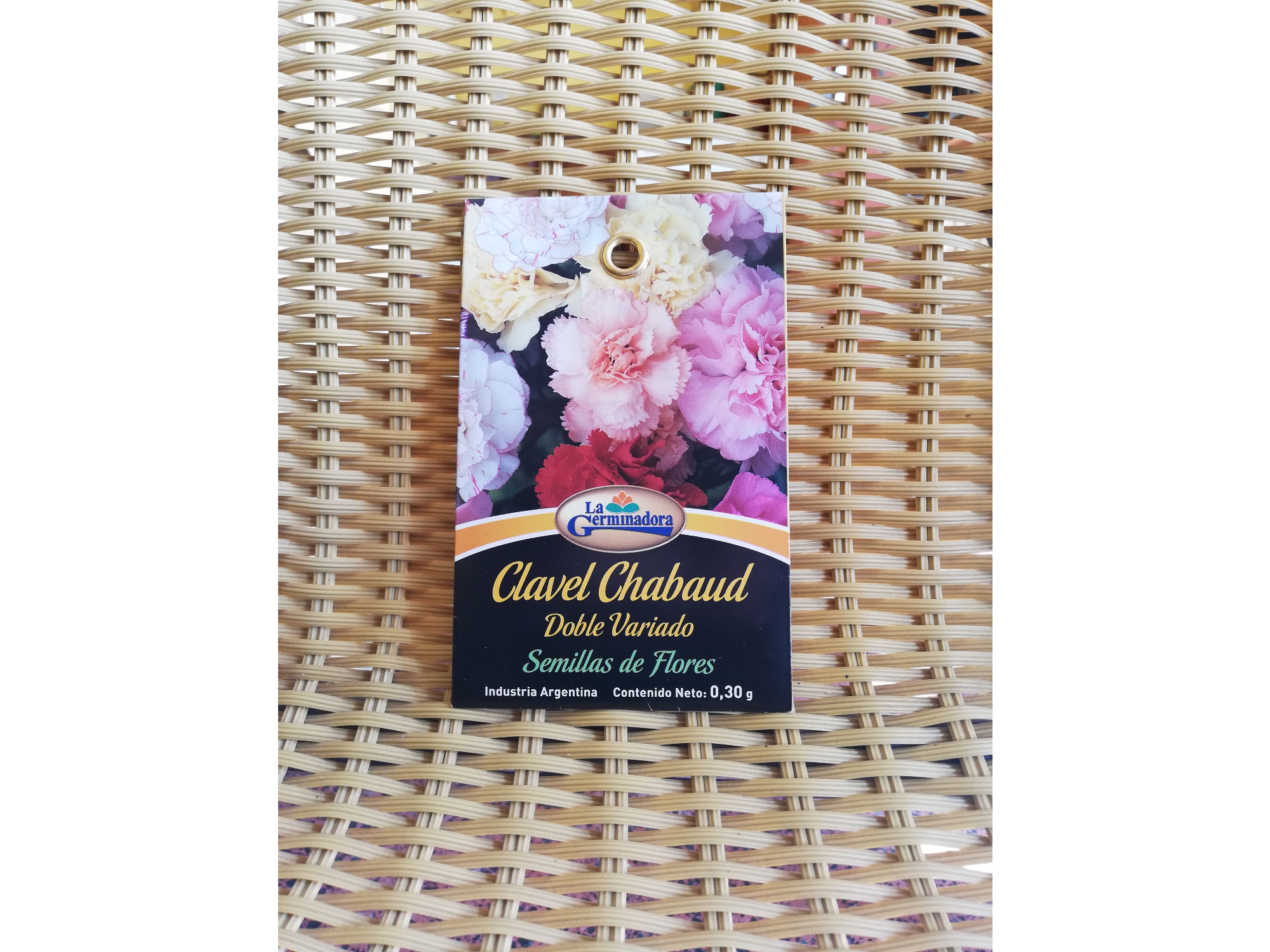 Clavel Chabaud doble variado T