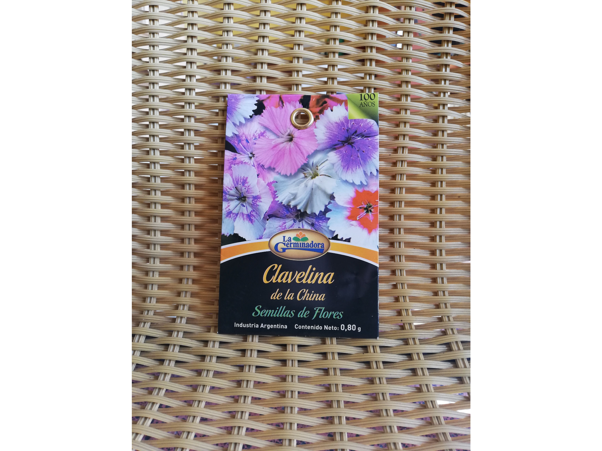 Clavelina de la china - doble variada T