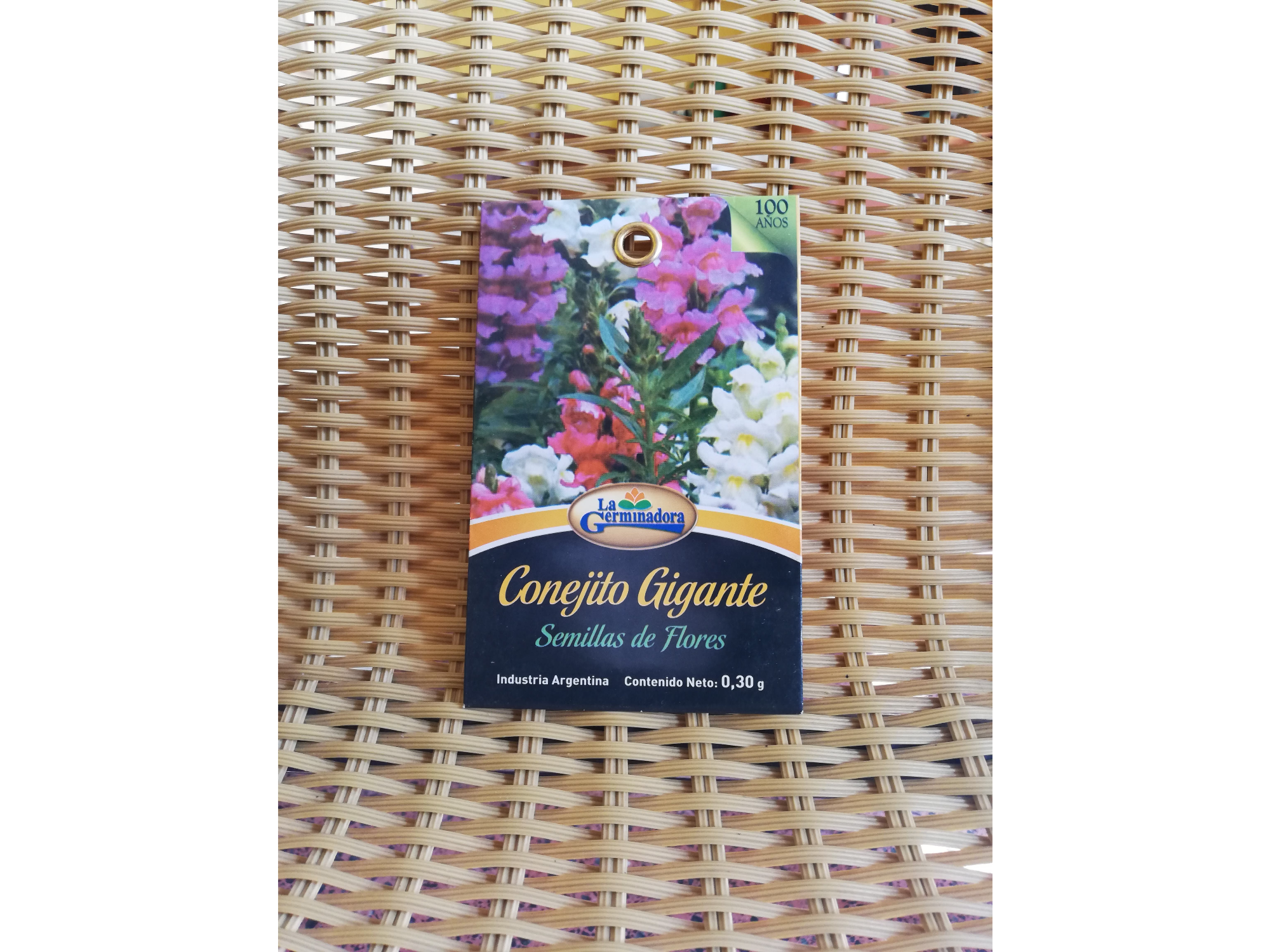 Conejito Gte. Variado T