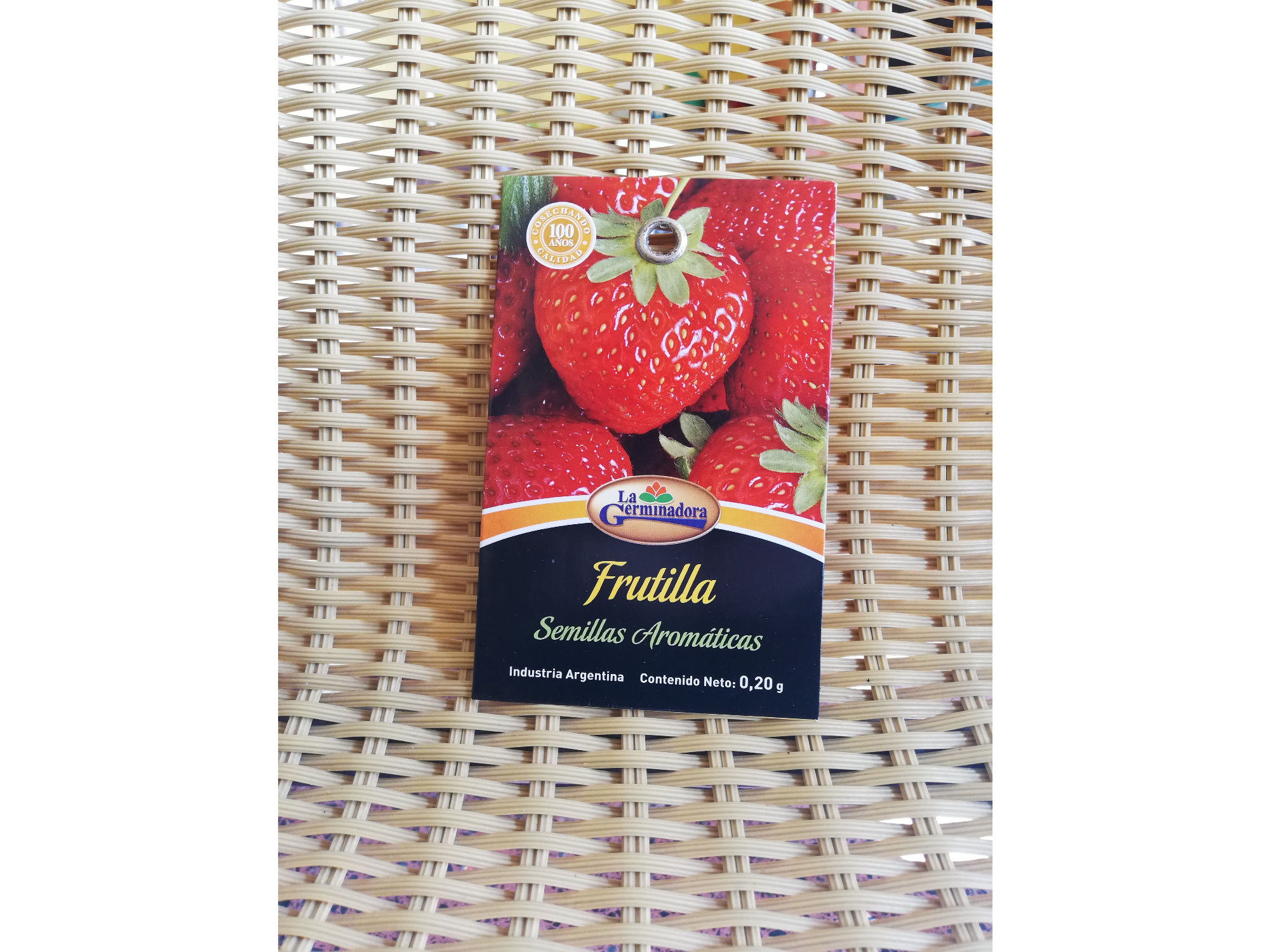 Frutilla