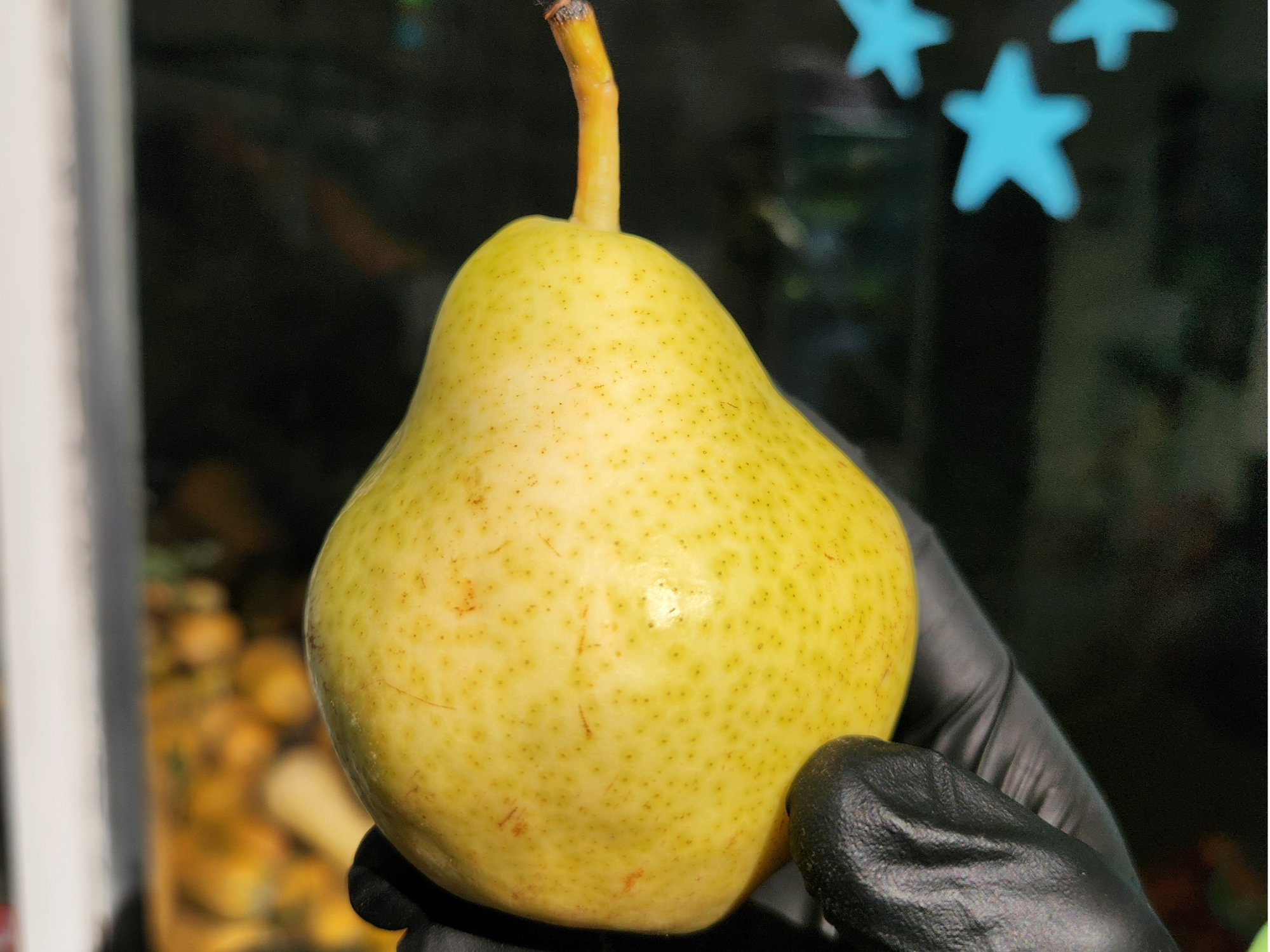 🍐 Pera