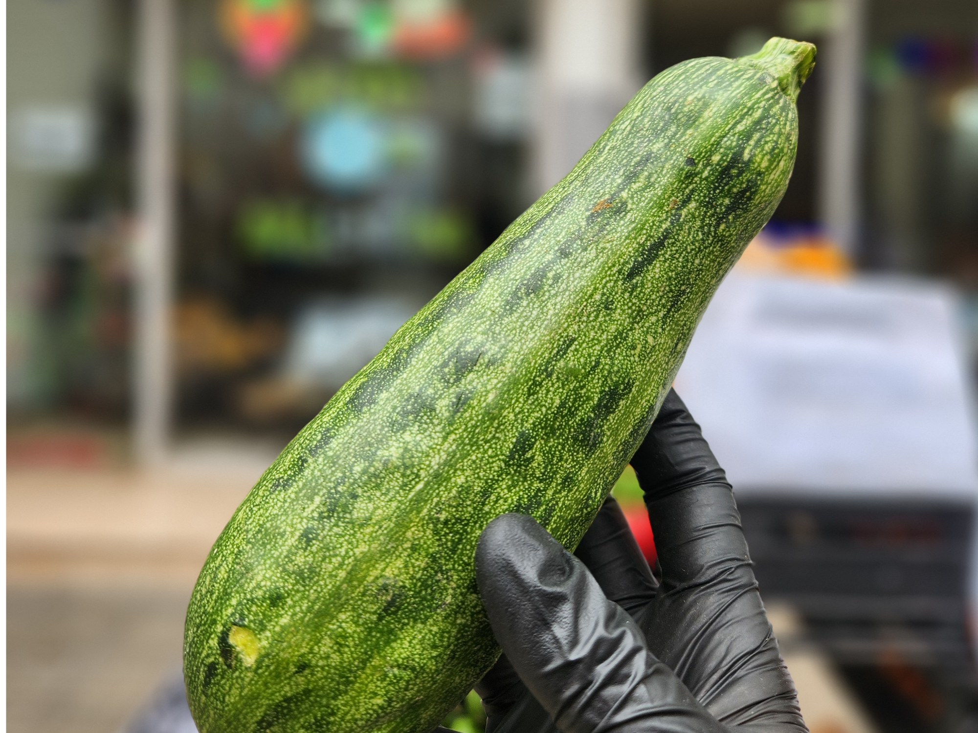 Zucchini