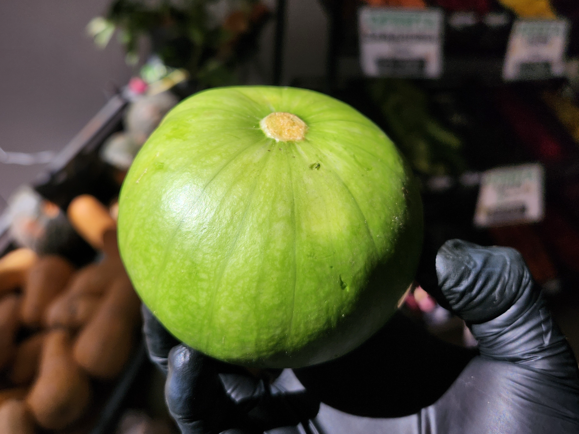 Zapallito Verde
