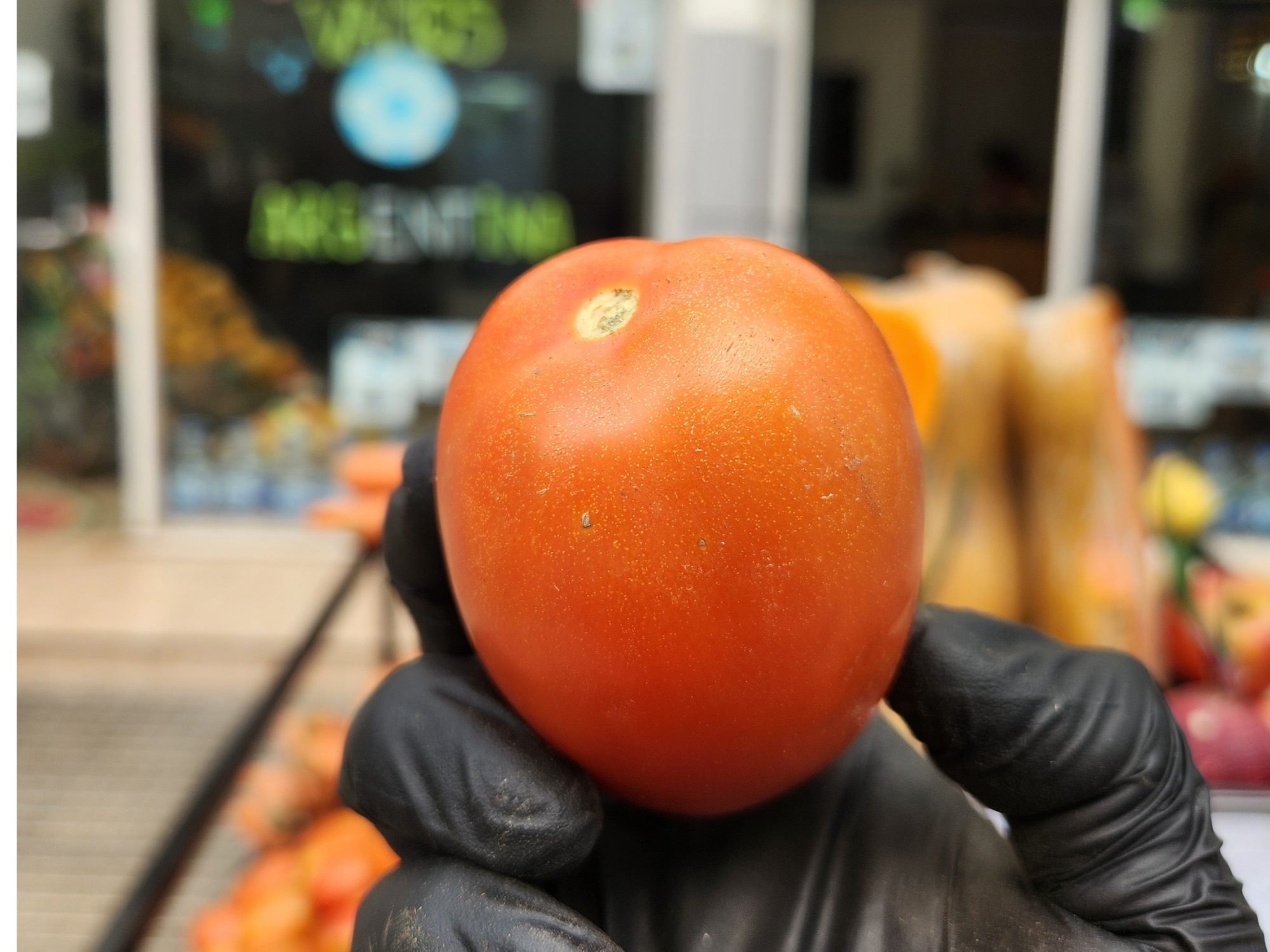 Tomate perita