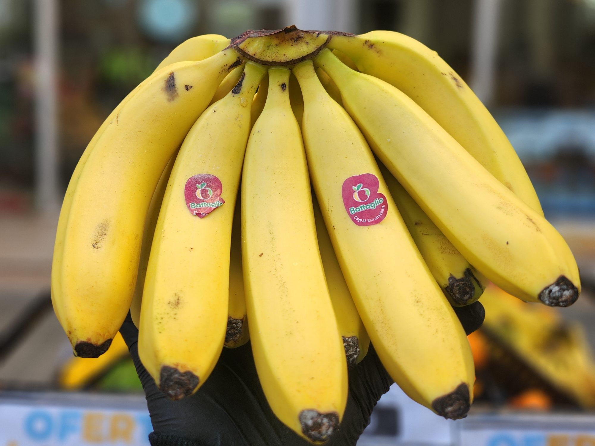 🍌Banana Brasil/Bolivia