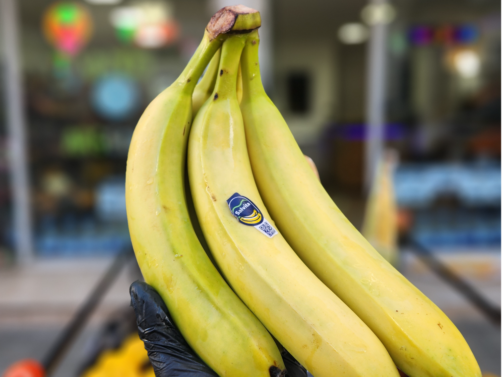 🍌 Banana Ecuador