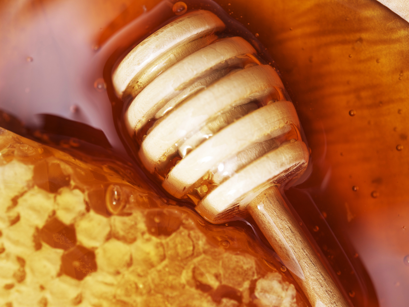 Miel Agroecologica 300cc