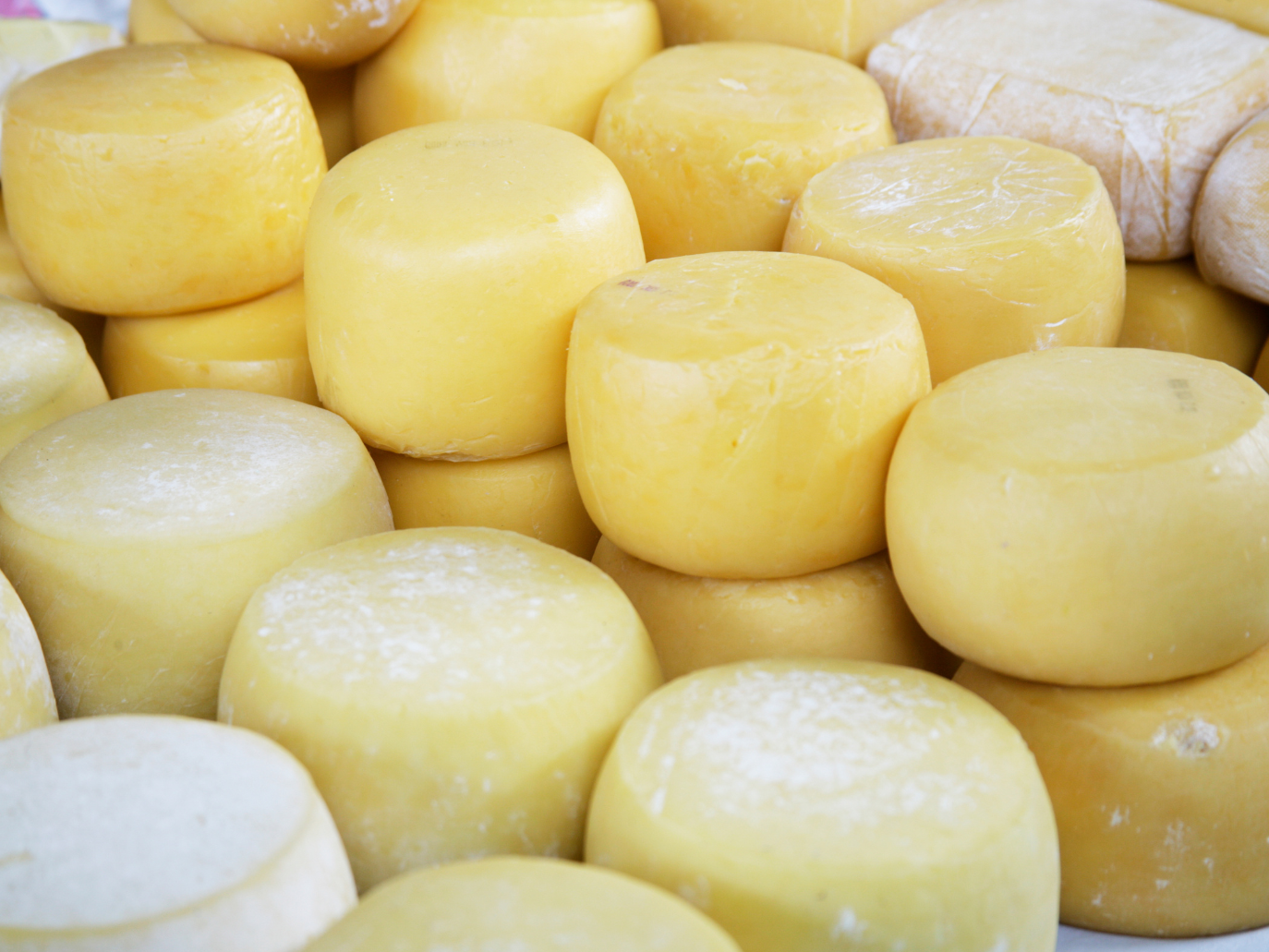 Quesos artesanales 500g