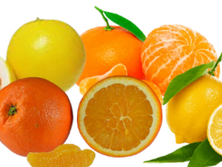 Pack Citricos agroecologicos