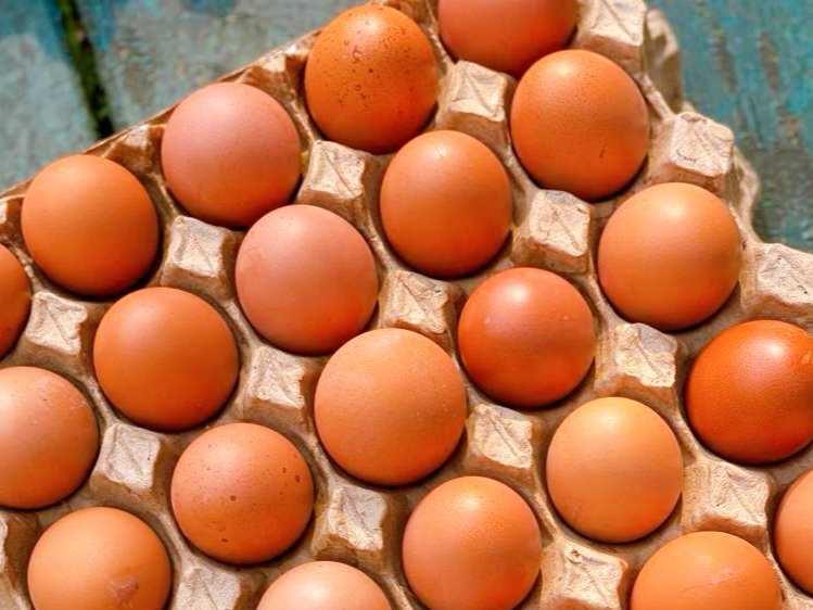 Promo Maples x 4 Certificados