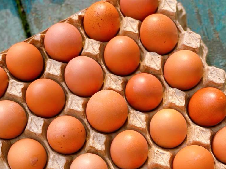 Huevos agroecologicos Certificados