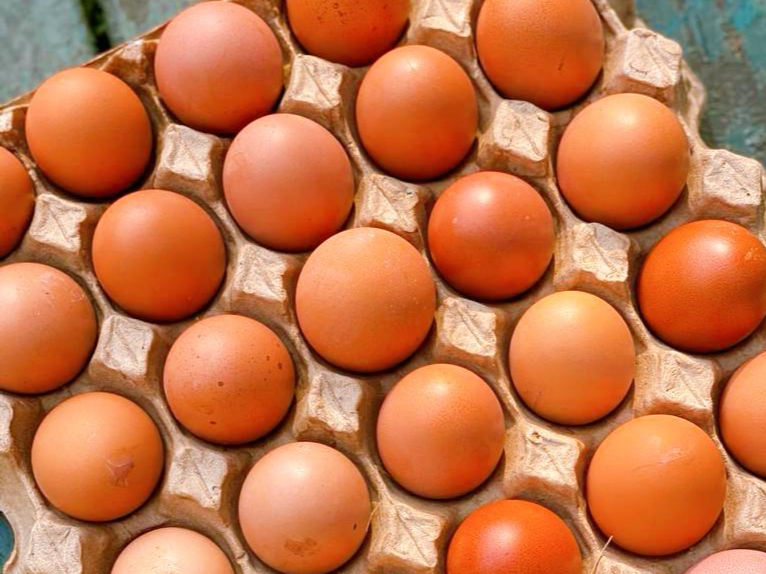 Promo Maples x 6 Certificados