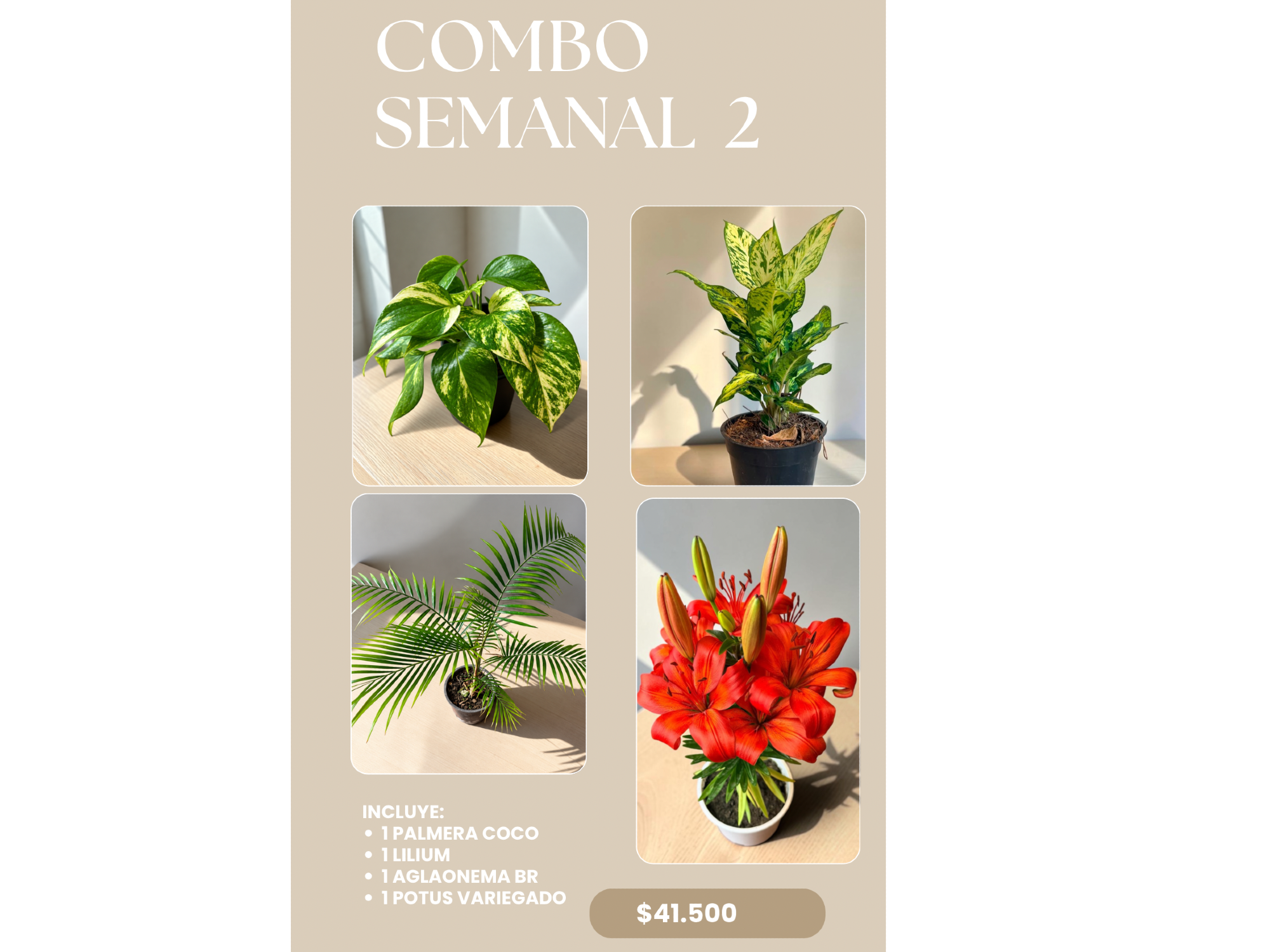 COMBO 2