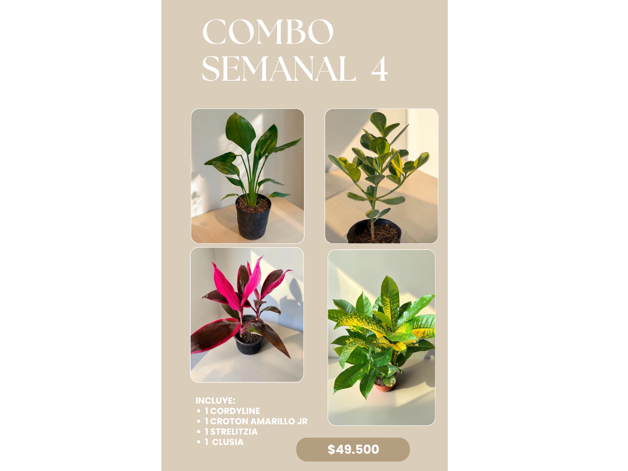 COMBO 4