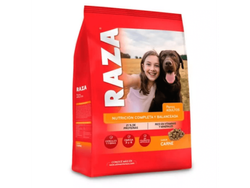 RAZA ADULTO X21KG