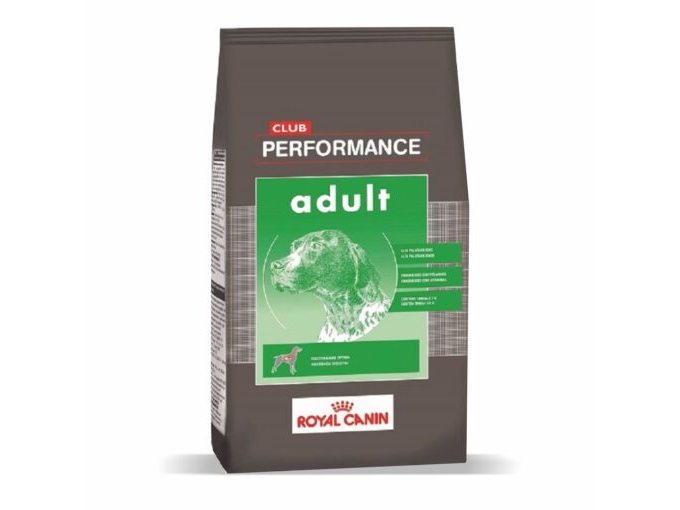 Performance adulto x20kg