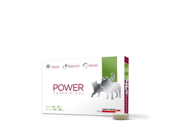 COMPRIMIDOS POWER 10-20kg perros/ 6-12kg gatos