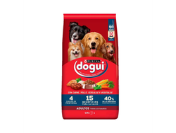 DOGUI ADULTO X21KG