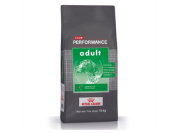 Performance adulto X15kg