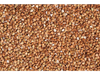 Trigo Serraceno