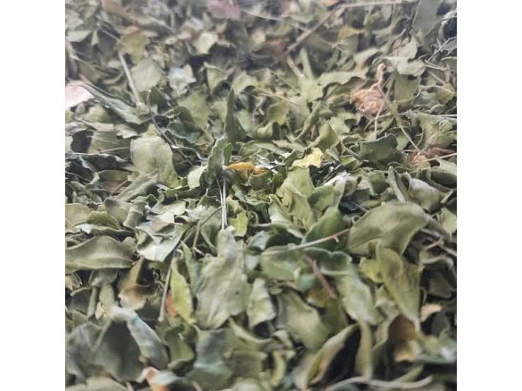 Moringa en Hojas x 50 gr