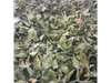 Moringa en Hojas x 50 gr