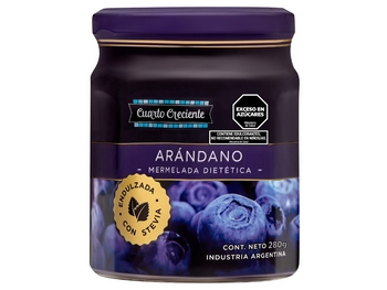 DULCE DE ARANDANOS 400g