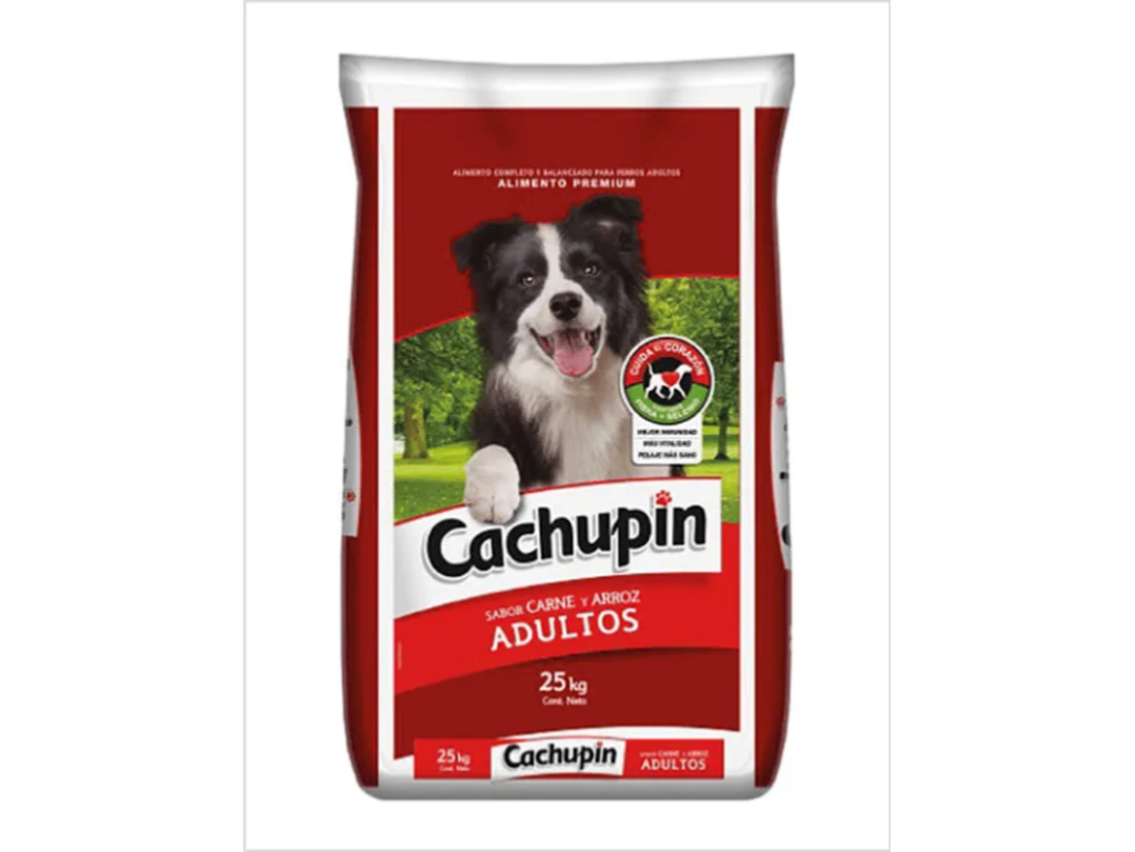 CACHUPIN KG