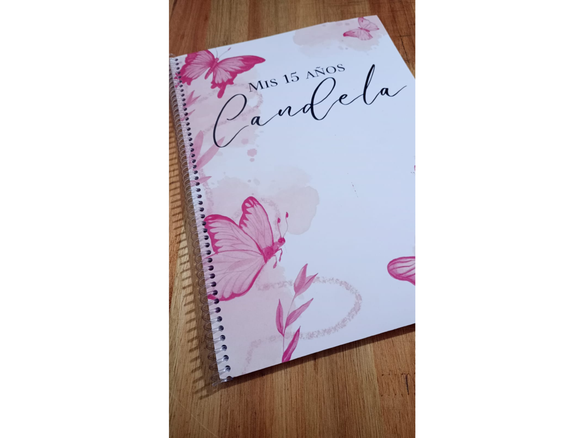 ANILLADO Nº29 (250h)