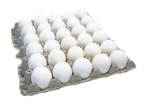 Huevos Blancos Nº: 1 (Los más grandes)