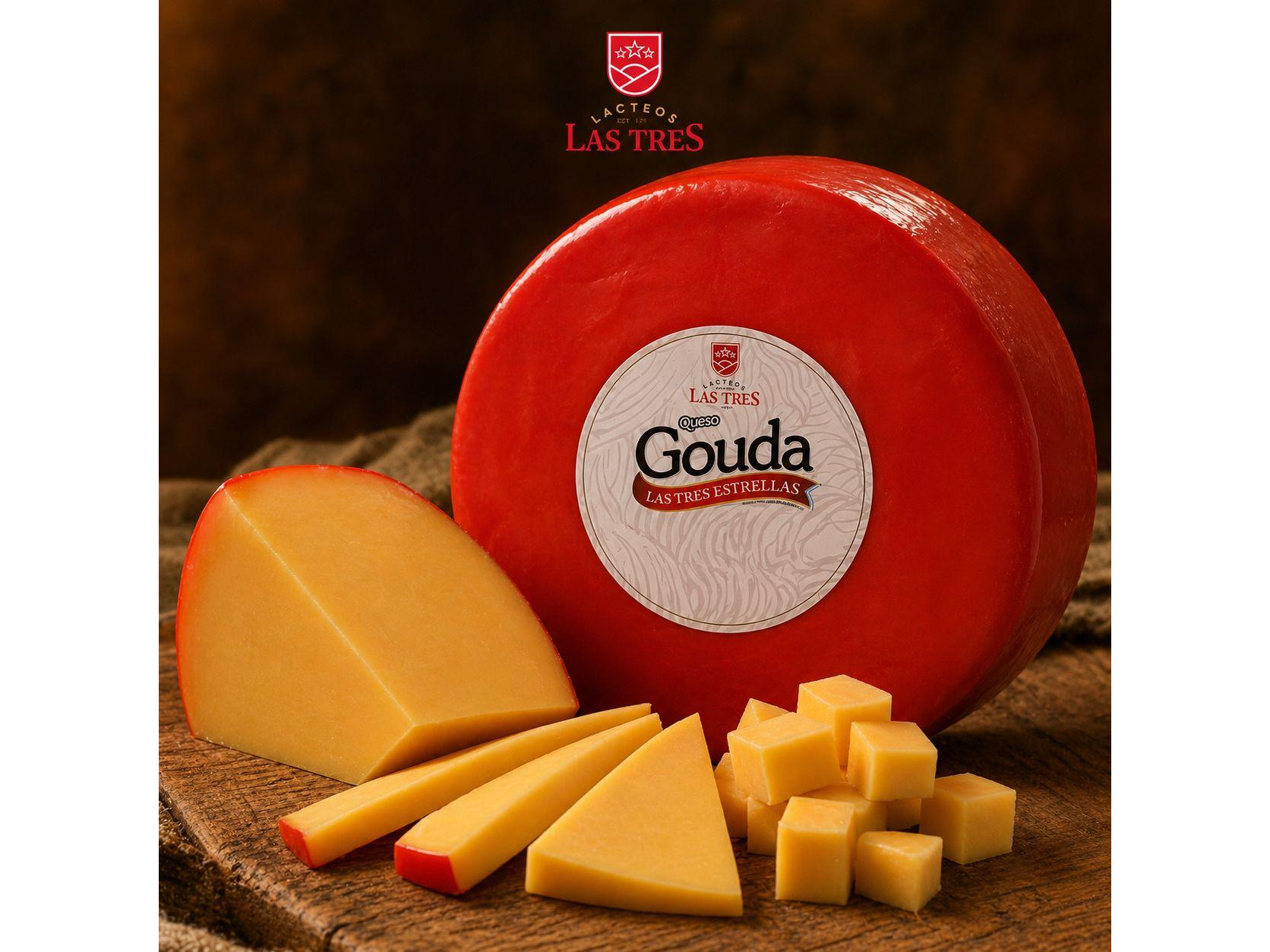 GOUDA -Unidad
