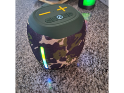 Parlante Camuflado