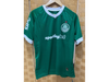 Camiseta Palmeiras