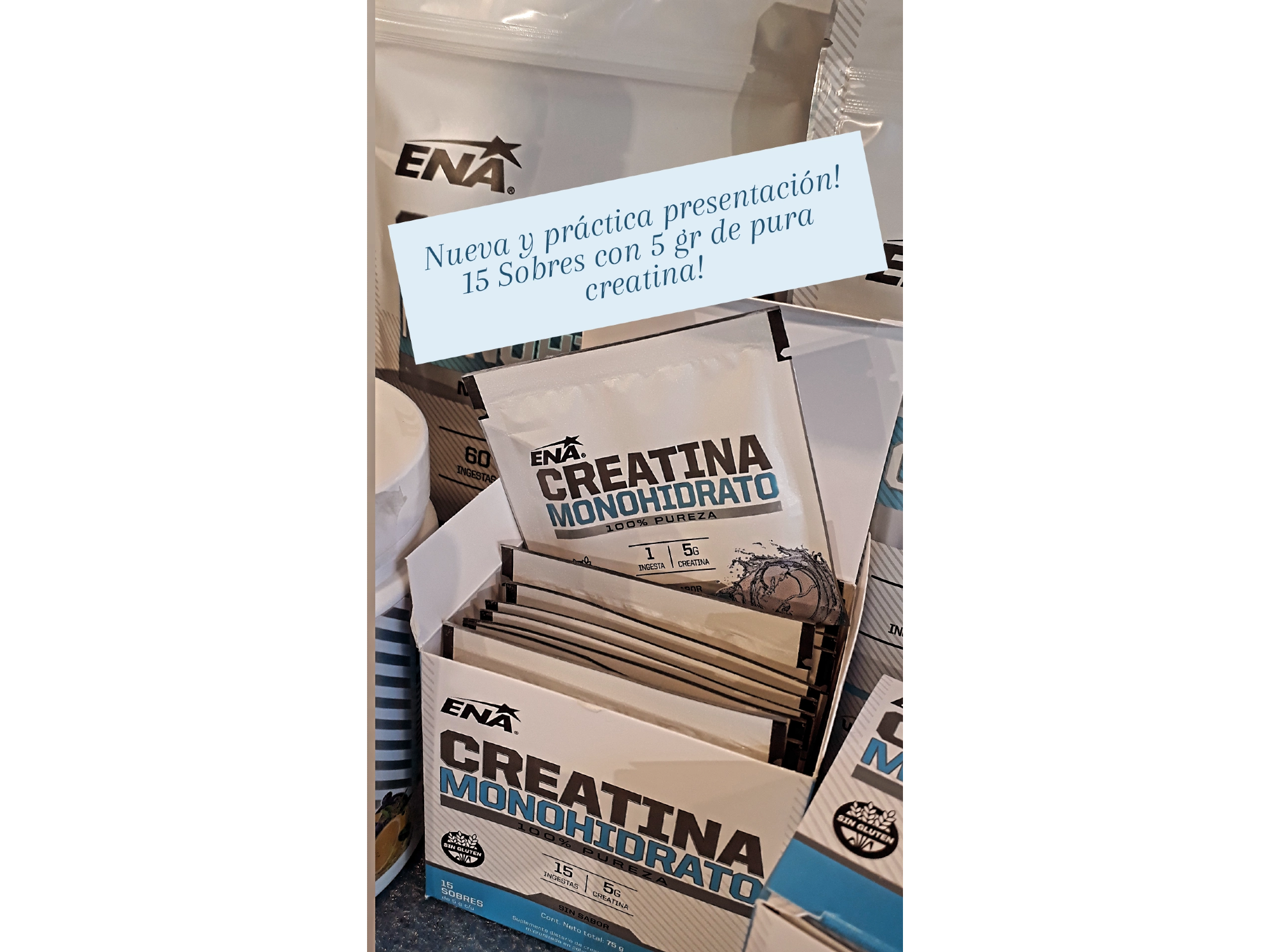 CREATINA MONOHIDRATADA  15 Sobres de 5 gr
